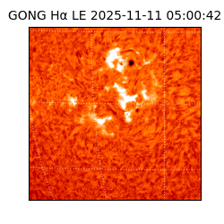 gong - 2025-11-11T05:00:42