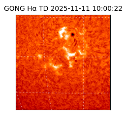 gong - 2025-11-11T10:00:22