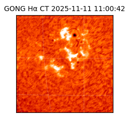 gong - 2025-11-11T11:00:42