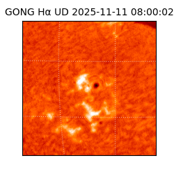 gong - 2025-11-11T08:00:02