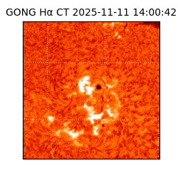 gong - 2025-11-11T14:00:42