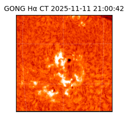 gong - 2025-11-11T21:00:42