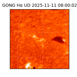 gong - 2025-11-11T08:00:02