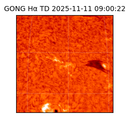 gong - 2025-11-11T09:00:22