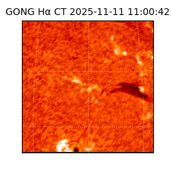 gong - 2025-11-11T11:00:42