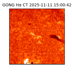 gong - 2025-11-11T15:00:42