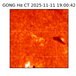 gong - 2025-11-11T19:00:42