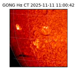 gong - 2025-11-11T11:00:42