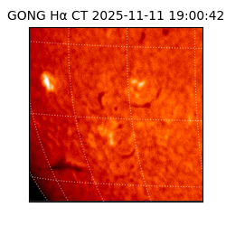 gong - 2025-11-11T19:00:42