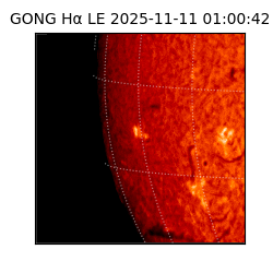 gong - 2025-11-11T01:00:42