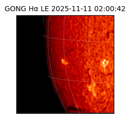 gong - 2025-11-11T02:00:42