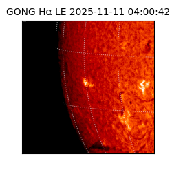 gong - 2025-11-11T04:00:42