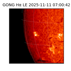 gong - 2025-11-11T07:00:42
