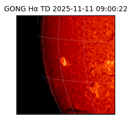 gong - 2025-11-11T09:00:22