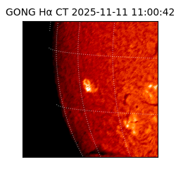 gong - 2025-11-11T11:00:42