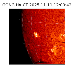 gong - 2025-11-11T12:00:42