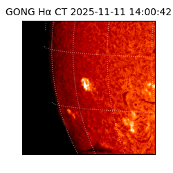 gong - 2025-11-11T14:00:42