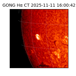 gong - 2025-11-11T16:00:42