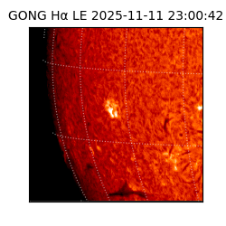 gong - 2025-11-11T23:00:42