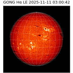 gong - 2025-11-11T03:00:42