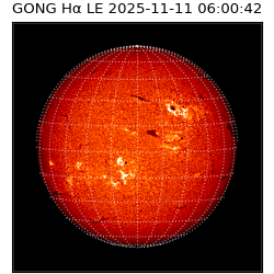 gong - 2025-11-11T06:00:42