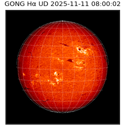 gong - 2025-11-11T08:00:02