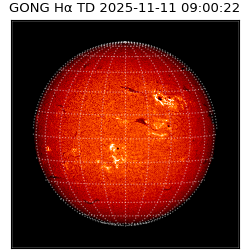 gong - 2025-11-11T09:00:22