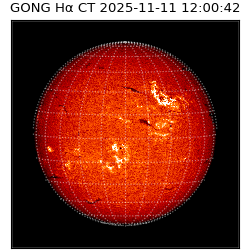 gong - 2025-11-11T12:00:42
