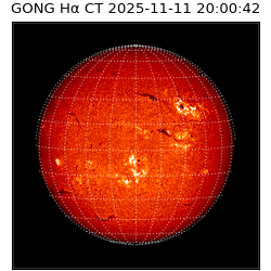 gong - 2025-11-11T20:00:42