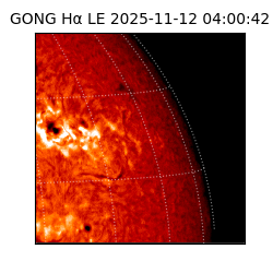 gong - 2025-11-12T04:00:42