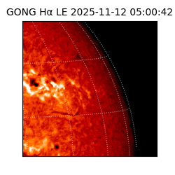 gong - 2025-11-12T05:00:42