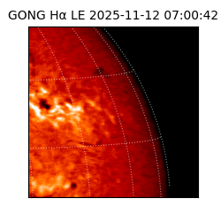 gong - 2025-11-12T07:00:42