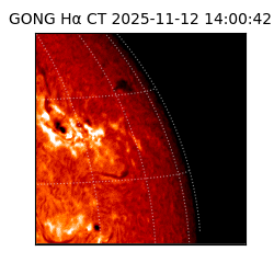 gong - 2025-11-12T14:00:42