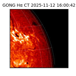 gong - 2025-11-12T16:00:42