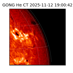 gong - 2025-11-12T19:00:42
