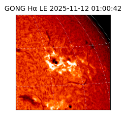 gong - 2025-11-12T01:00:42