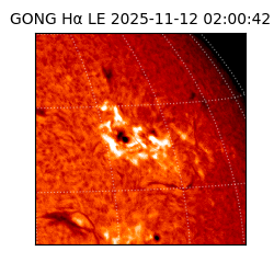 gong - 2025-11-12T02:00:42