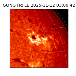 gong - 2025-11-12T03:00:42