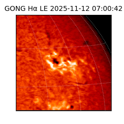 gong - 2025-11-12T07:00:42