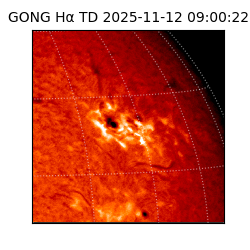 gong - 2025-11-12T09:00:22