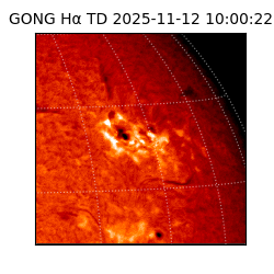 gong - 2025-11-12T10:00:22