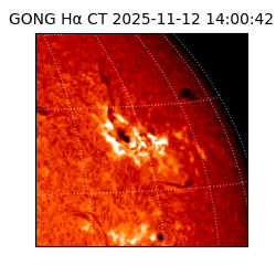 gong - 2025-11-12T14:00:42