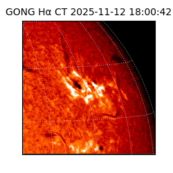 gong - 2025-11-12T18:00:42