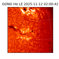 gong - 2025-11-12T02:00:42