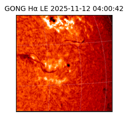 gong - 2025-11-12T04:00:42