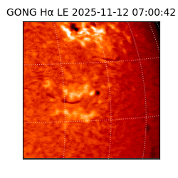 gong - 2025-11-12T07:00:42