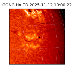 gong - 2025-11-12T10:00:22