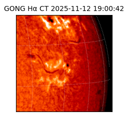 gong - 2025-11-12T19:00:42