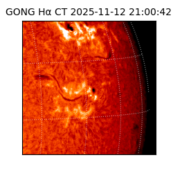 gong - 2025-11-12T21:00:42