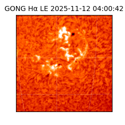 gong - 2025-11-12T04:00:42